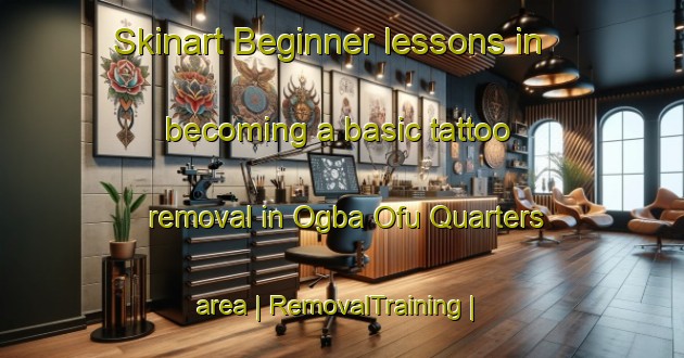 Skinart Beginner lessons in becoming a basic tattoo removal in Ogba Ofu Quarters area | RemovalTraining | RemovalClasses | SkinartTraining-Nigeria